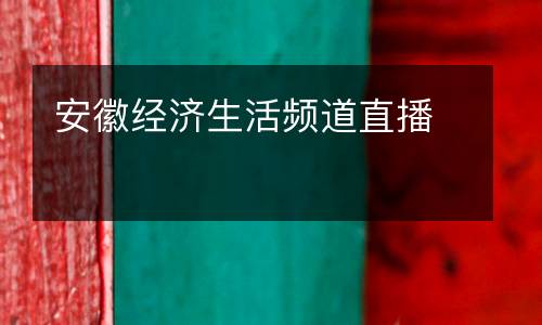 安徽經濟生活頻道直播