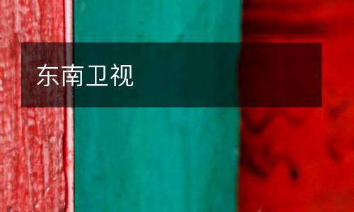 東南衛視