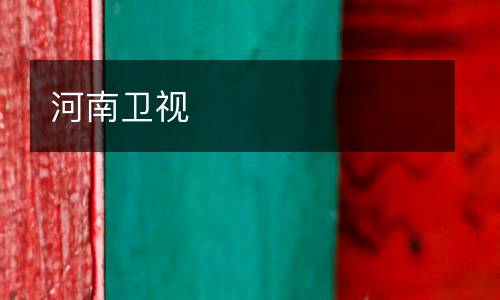 河南衛視