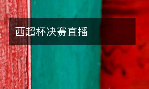 西超杯決賽直播